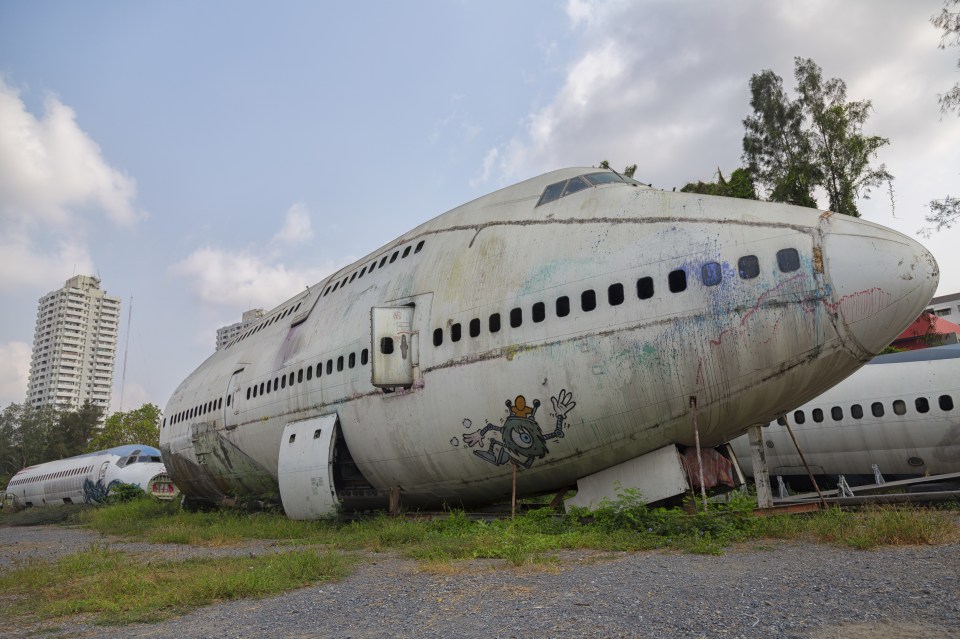 Photographer Dax Ward photographed the unusual site, saying the interiors of the plane have been mostly stripped away to reveal the bare bones of the giant crafts, but the carpeting, overhead bins and bathrooms remain intact