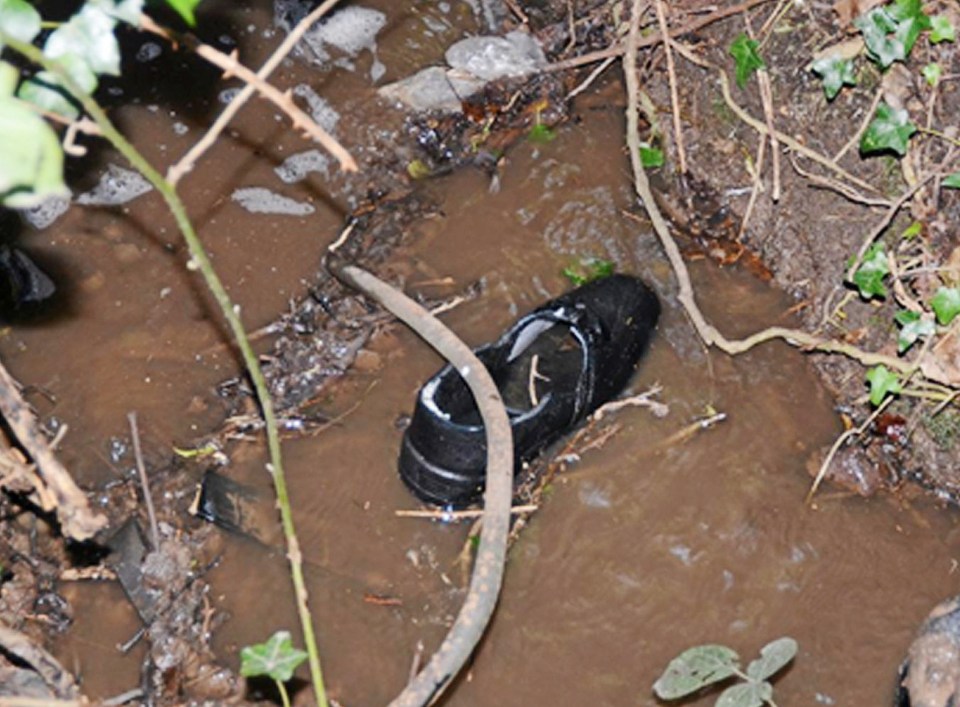  A boot hidden on Collinge Farm, in Backford, Chester, by Sarah Williams