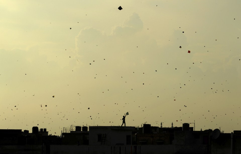 The kites are traditionally used in festivals