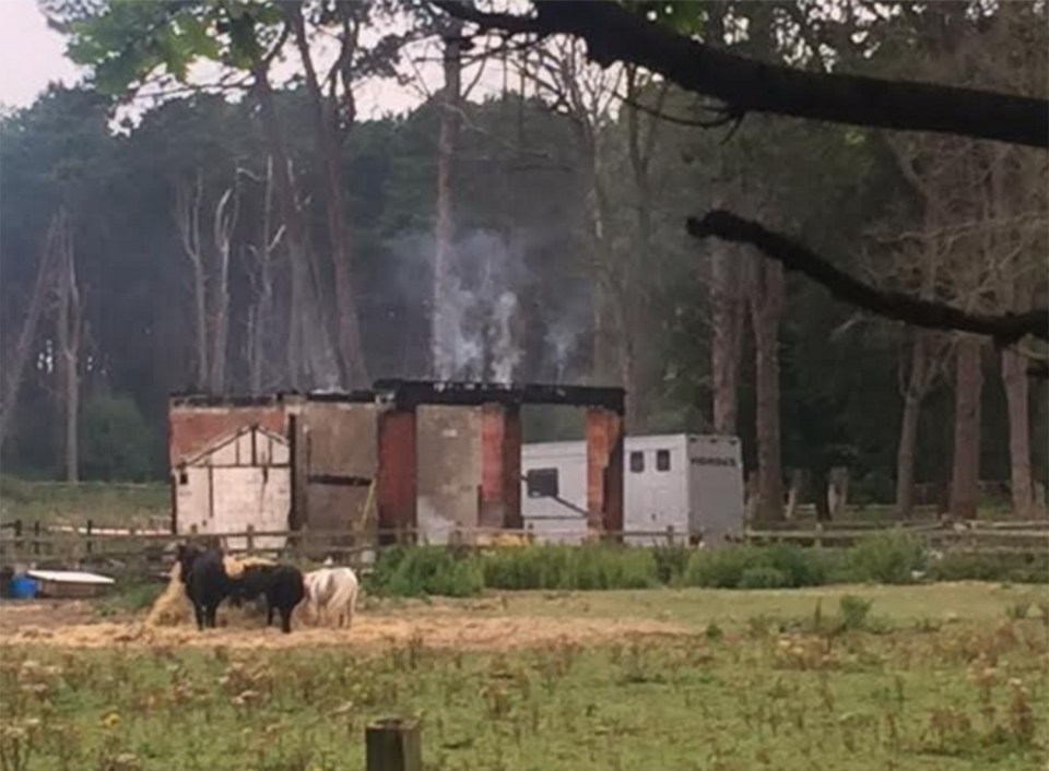  The smouldering wreck of stables after a fire early today at Shorrocks Hill country club