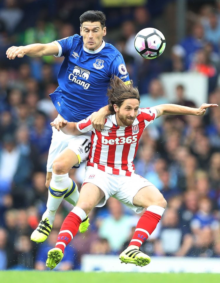  Stoke star Joe Allen, then of Liverpool, was among celebrating Wales players