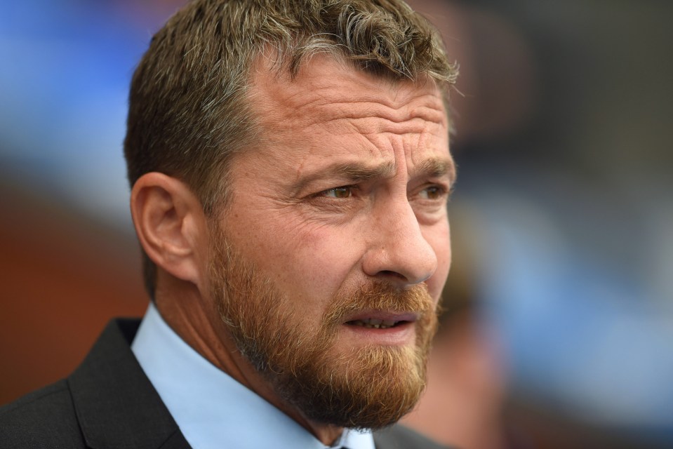  Fulham manager Slavisa Jokanovic spoke to players about Ross McCormack