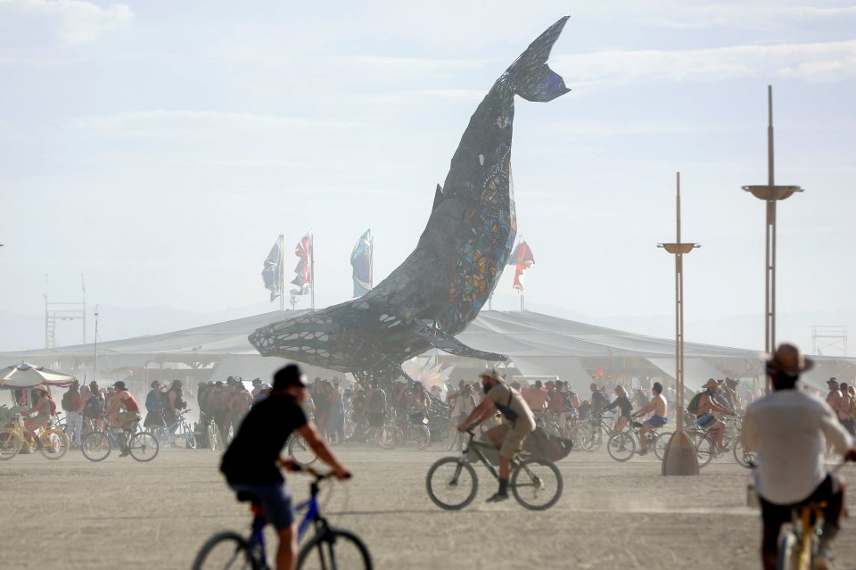  Whale of a time ... Giant sea creature dominates the desert scene