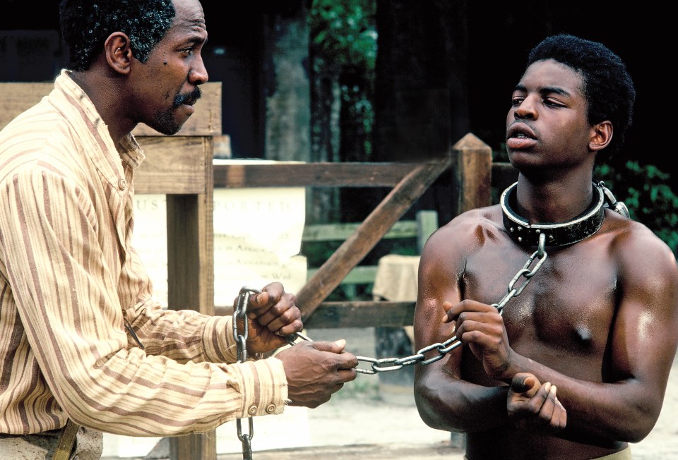  LeVar Burton played Kunta Kinte in the series