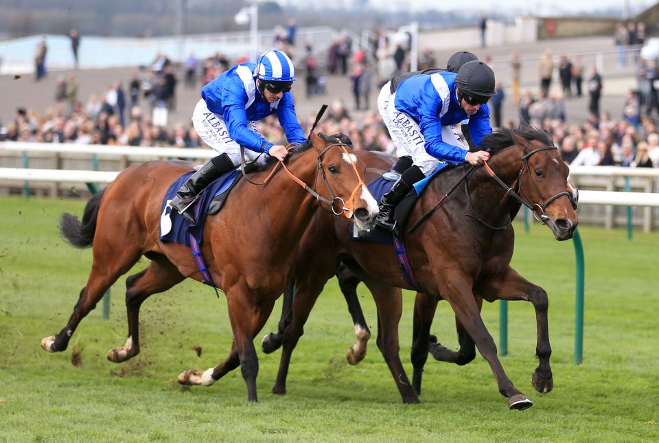 Thikriyaat (right) is the general 7-4 favourite for the Celebration Mile