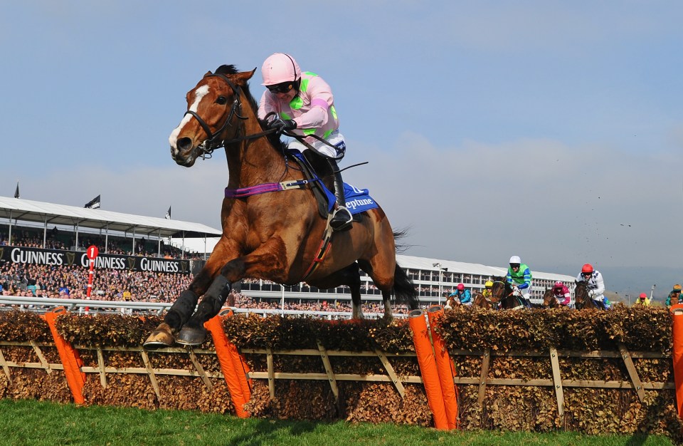  Walsh will miss the ride on Faugheen