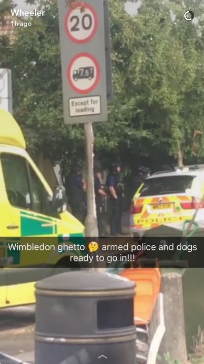  Armed police and dogs were drafted into the hunt