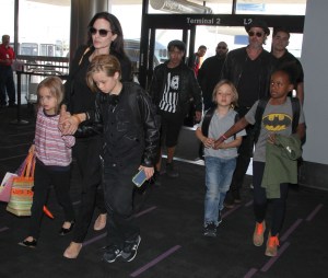  Angelina is said to be blocking the actor from visiting their six children while the FBI investigate an allegation of child abuse