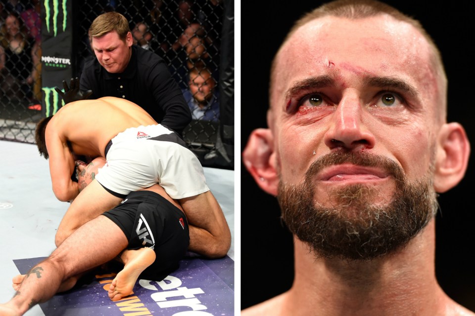 CM Punk at UFC 203