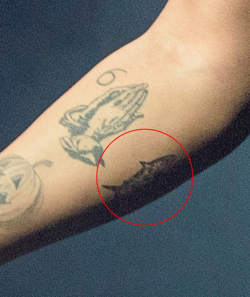 He got an inking of a shark...