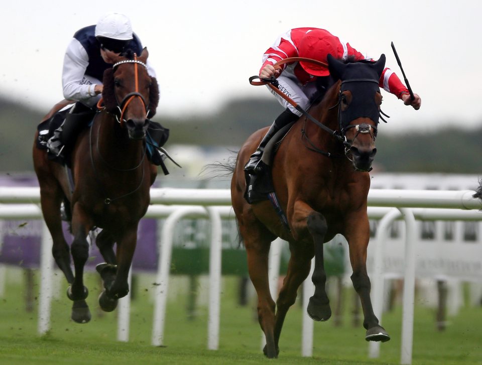  Sheikhzayedroad (right) is back to defend his crown