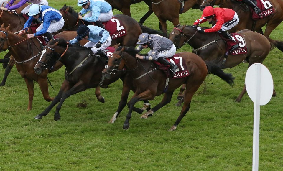  Growl (grey cap) was a close fourth to Dancing Star in the Stewards Cup last year