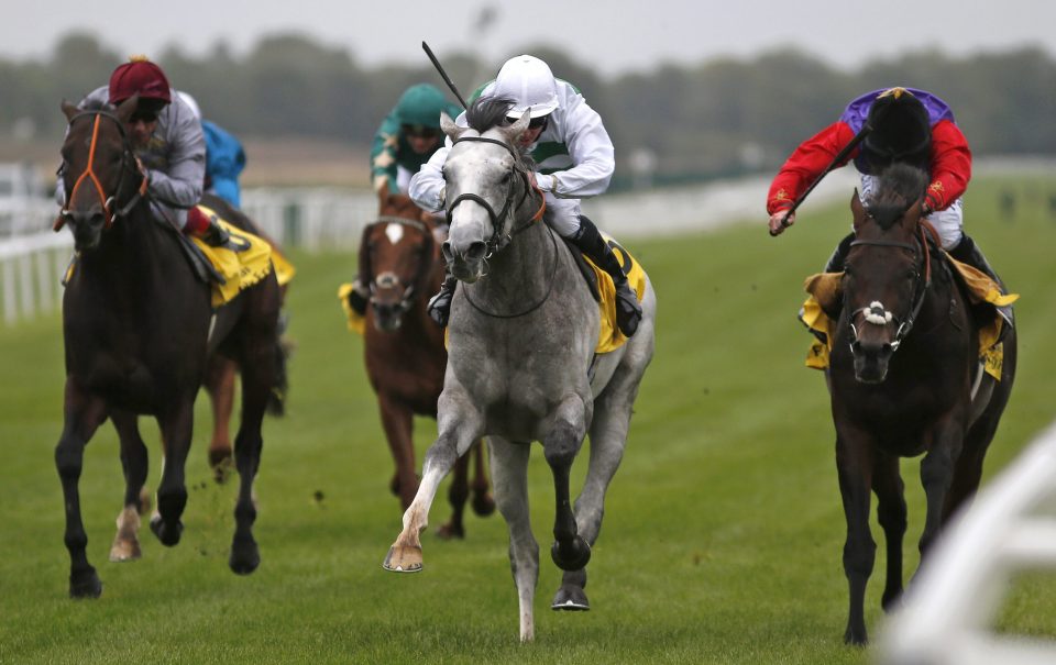  Algometer (centre) will only run if the ground is soft enough