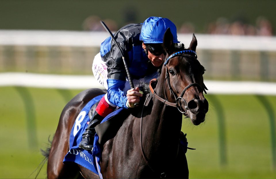 Spain Burg could be back at Newmarket next year for the 1000 Guineas