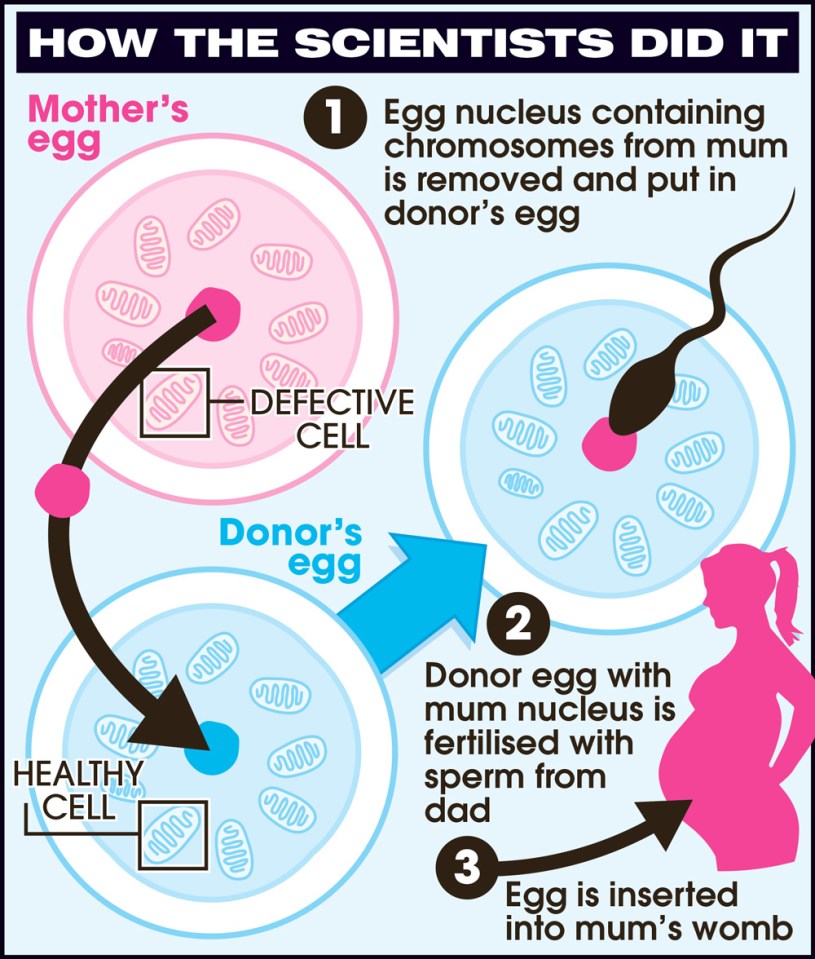  A graphic detailing how it all happened