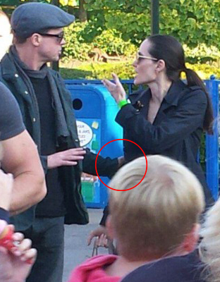 Brad Pitt was seen grabbing Angelina Jolie's arm during a public outburst at Legoland, Windsor