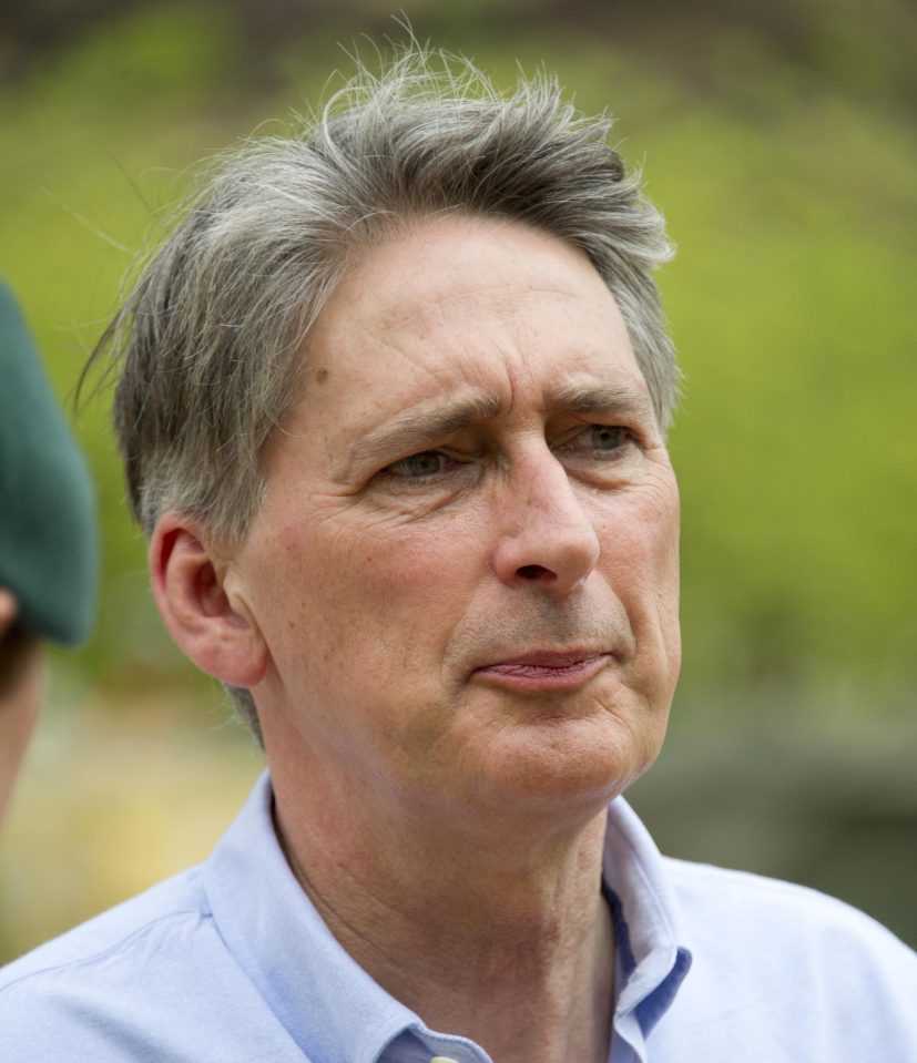  Philip Hammond is said to have voiced concerns about the level of access to the PM