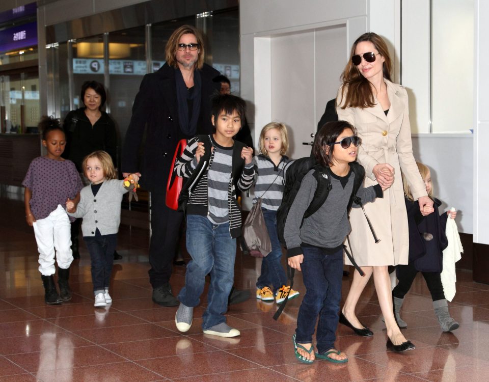  The Jolie-Pitts with their six children, with Jolie having petitioned for full custody