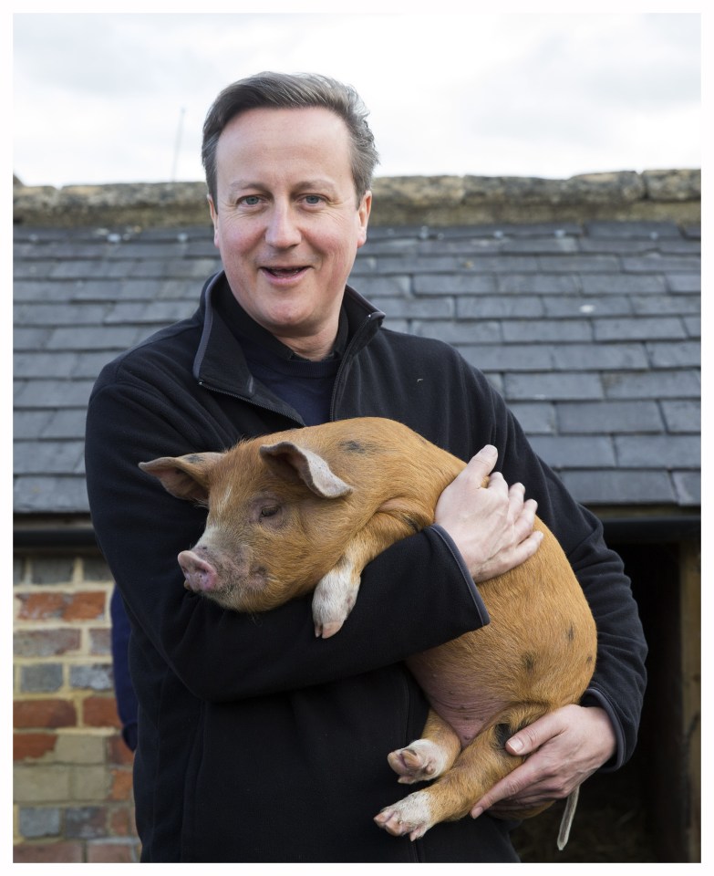 David Cameron