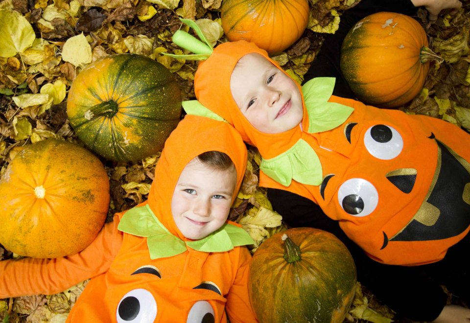 Virginia Pumpkin Festival, Co. Cavan Ireland