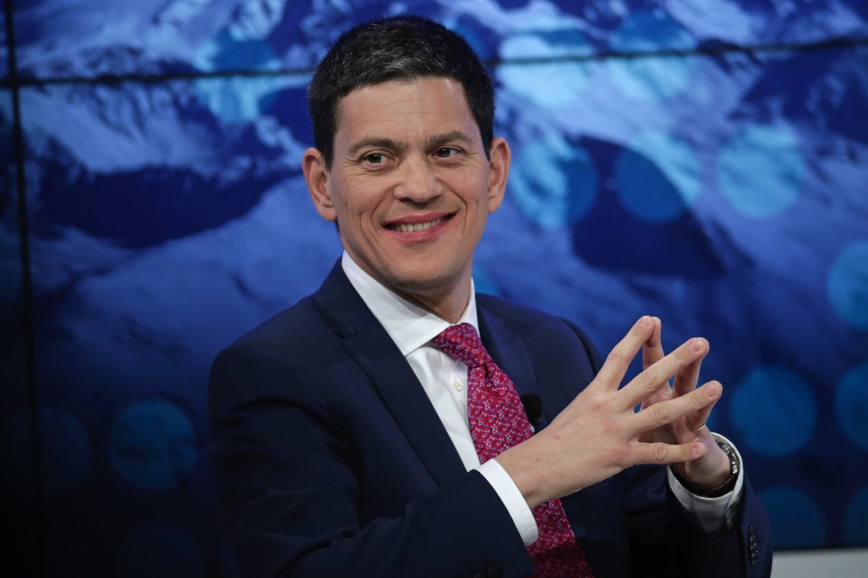  David Miliband said MPs could have halted the current carnage