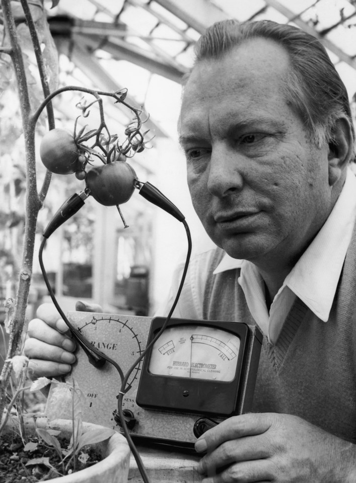  Scientology is based on the teachings of sci-fi writer L. Ron Hubbard