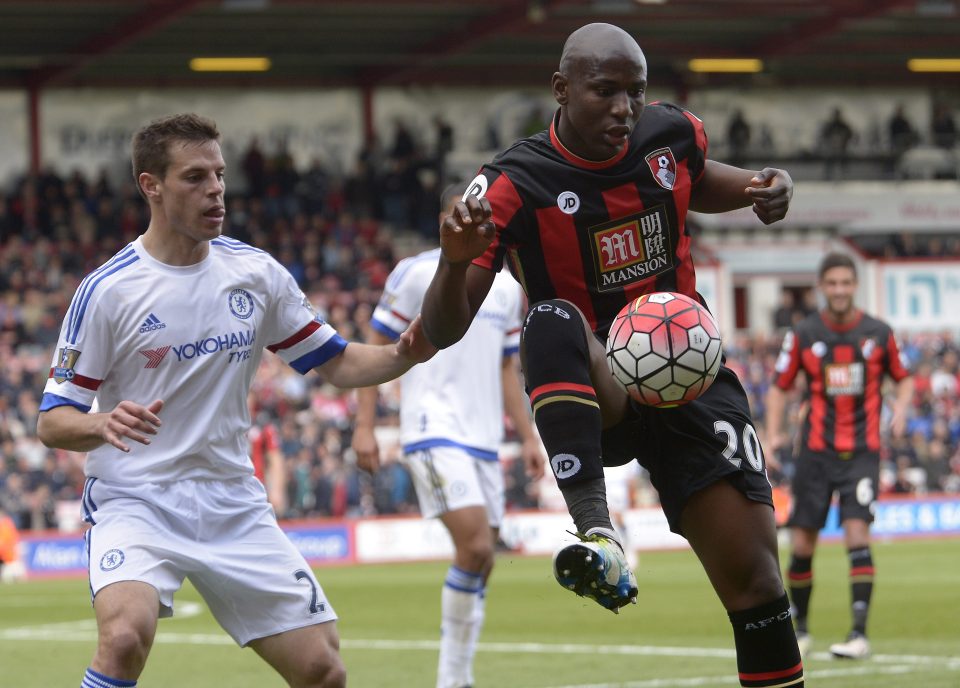 Benik Afobe has no doubts new club team-mate Wilshere will be a major force at the highest level again