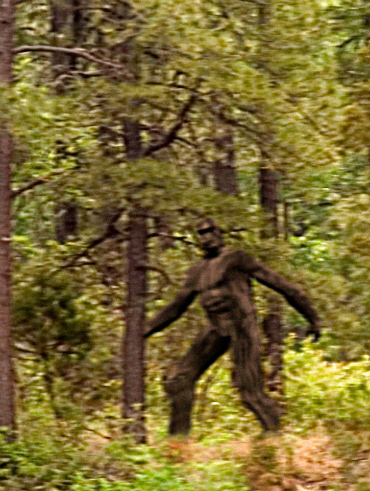  Could Bigfoot be real?