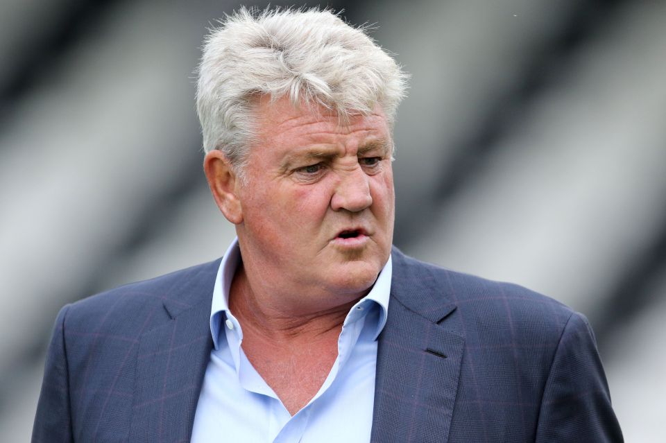 Steve Bruce is keen on a return to management with Stoke a possibility