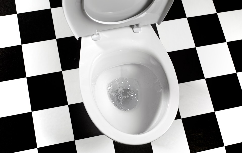  A change in toilet habits, and noticing blood in your poo are both important signs to watch out for