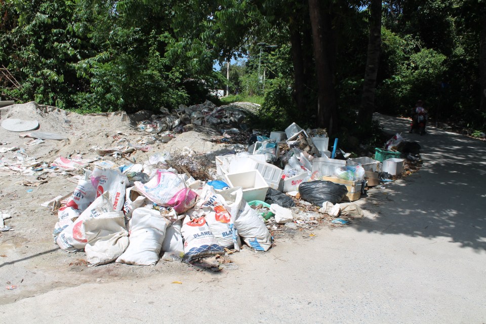  Piles of rubbish were strewn outside the luxurious hotel, making an eyesore whenever the couple stepped outside