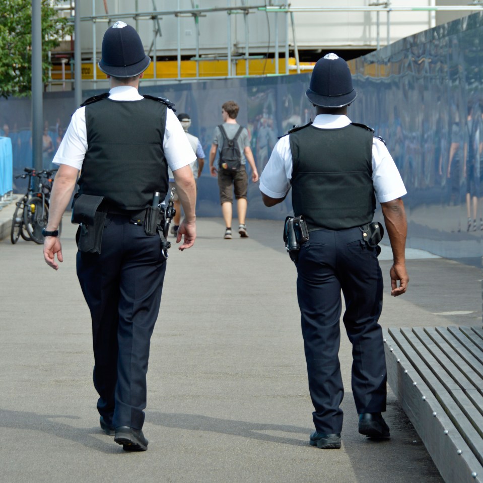  Mr Gamble suggested that the government fund the creation of a 'Citizens' Army' of amateur detectives, who would be given the same training as Special Constables