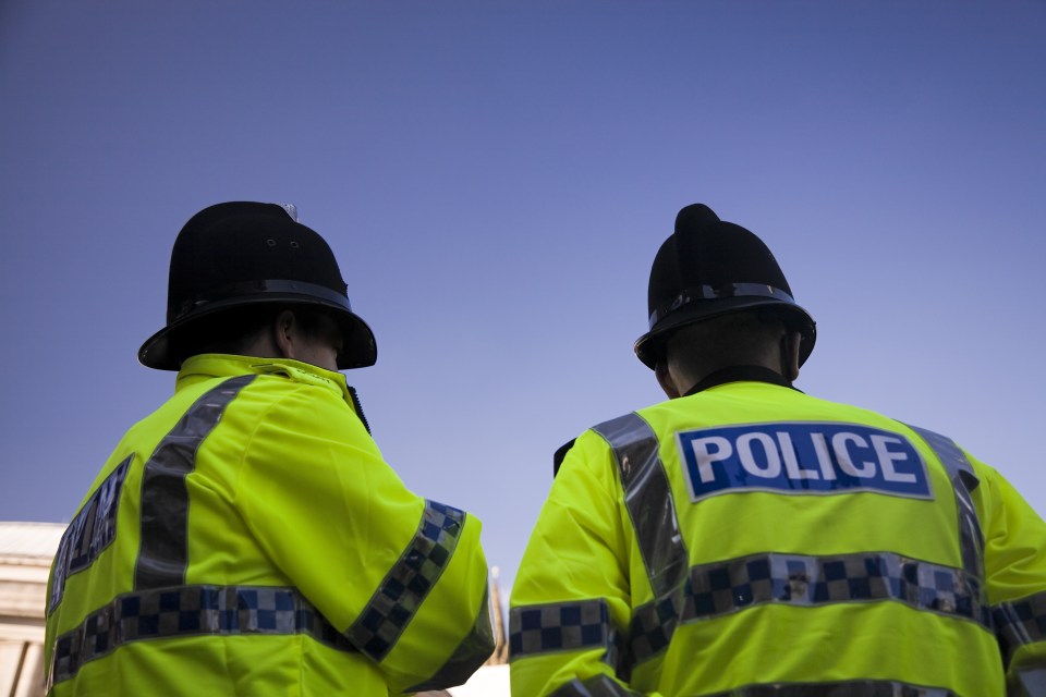 Police in Parliament passed the investigation over to the Met’s Counter Terrorism Command