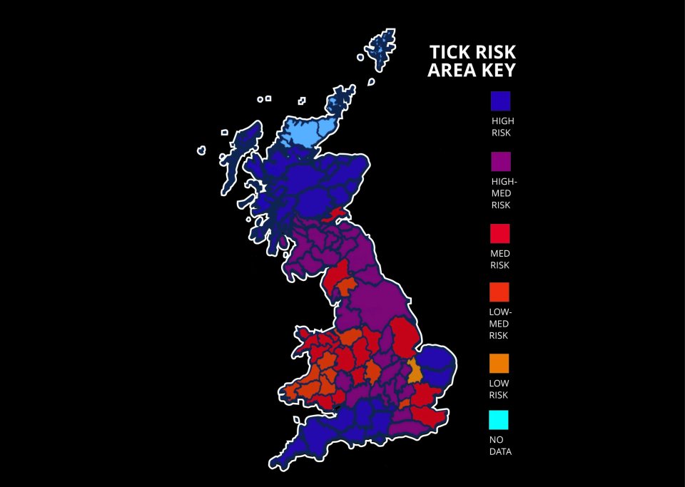  Scientists mapped the UK in terms of ticks' geographical spread