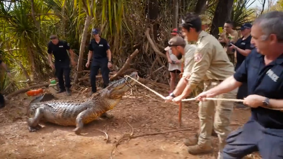 The officers had to grapple with the reptile which they said almost got away from them at one point