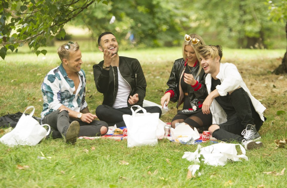 X Factor hopefuls from over the years have reunited for a picnic 