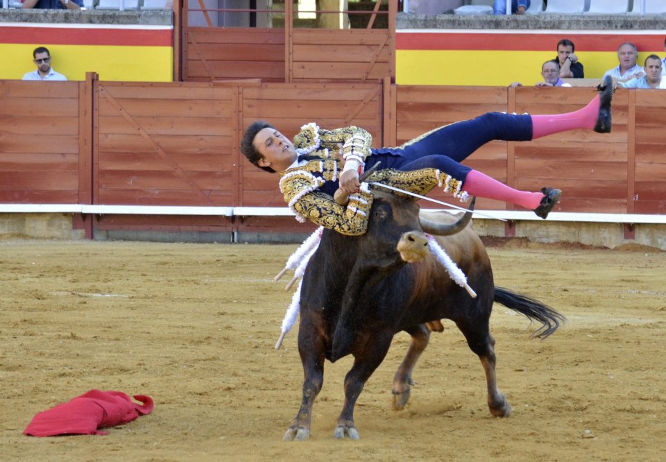 Andres Roca-Rey has been gored for the fifth time in five journeys into the bullring 