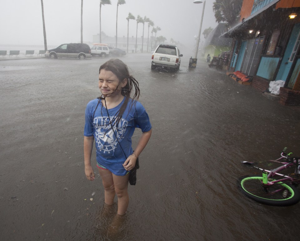  Floridians prepared to batten down the hatches as Storm Hermine was upgraded to a hurricane as it approached the state