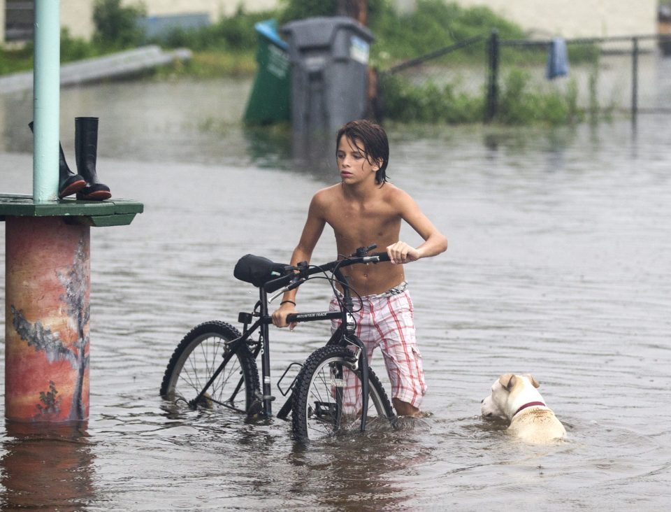  A young man and his dog wades in the storm surge from Hurricane Hermaine in Florida