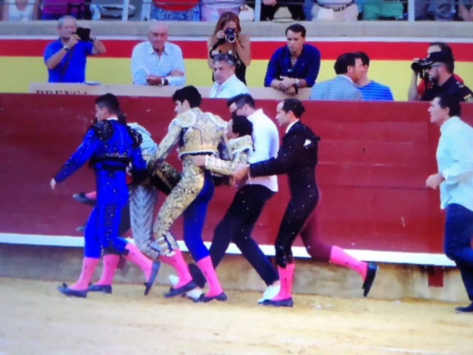 The matador was helped from the ring following his clash with the powerful bovine