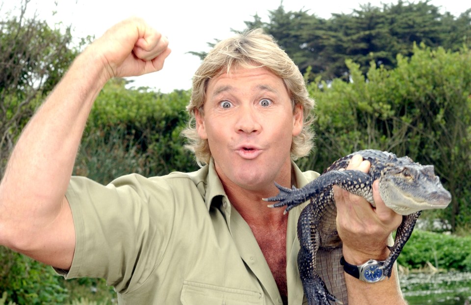 Steve Irwin