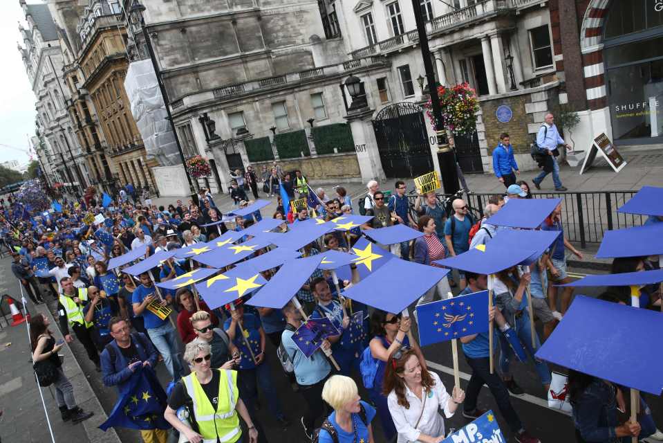  Prime Minister Theresa May has previously said the vote must be respected and that "Brexit means Brexit"