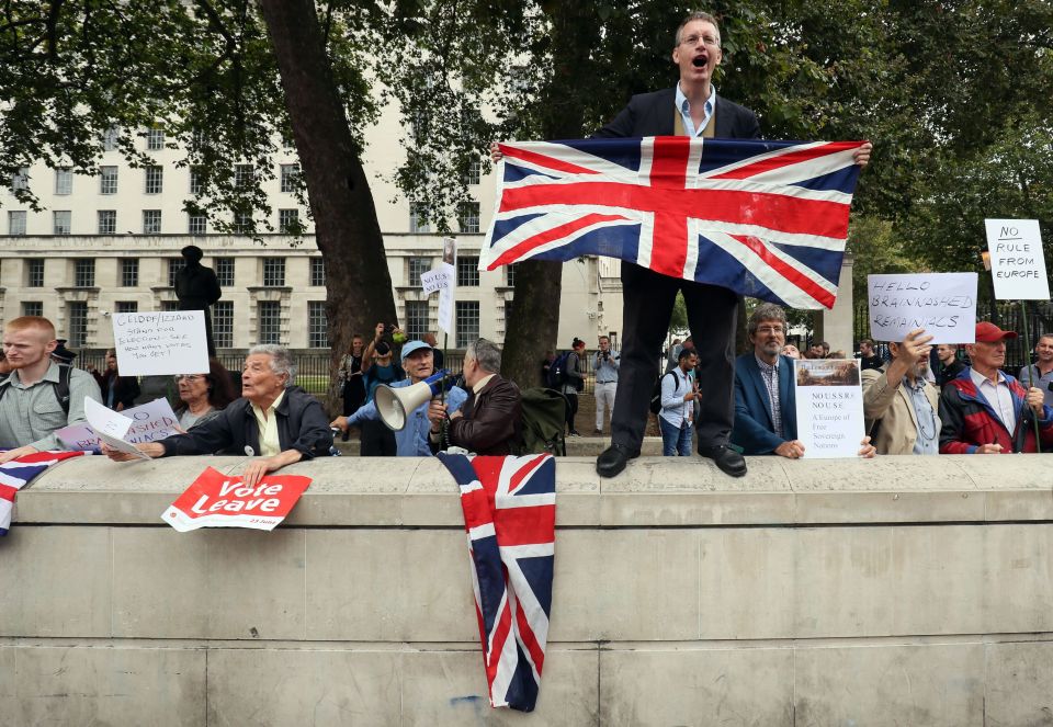  A small group of pro-Brexit campaigners also demonstrated at today's march