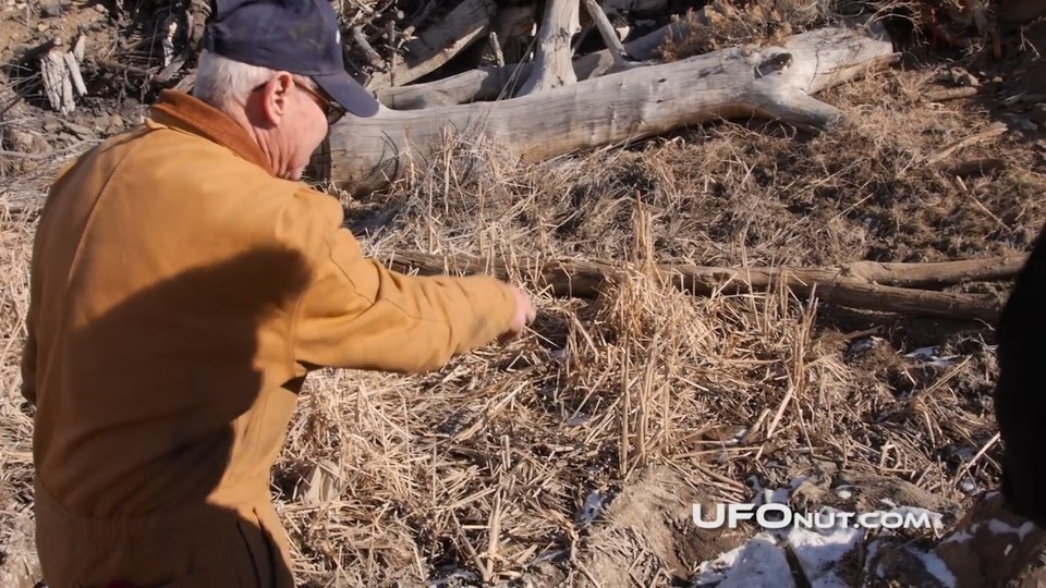  An investigator points out the remains of a butchered cow