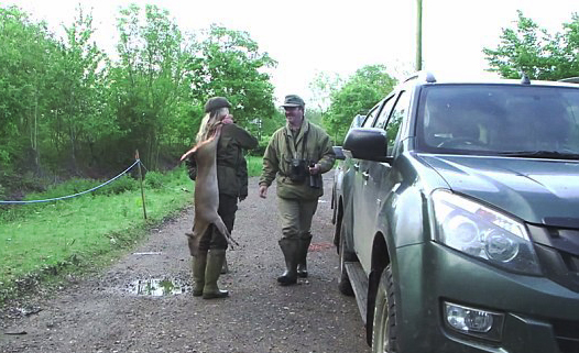  Rachel seen carrying a Muntjac deer that she shot on a hunt