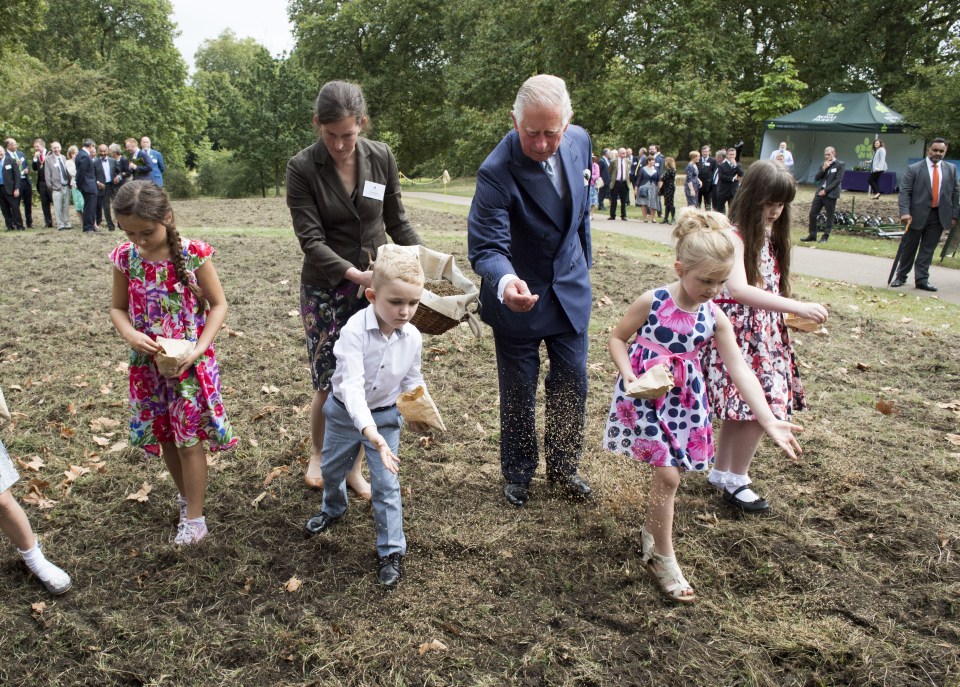  Prince Charles joined school kids distributing yellow rattle seeds for a new meadow in honour of his mother, The Queen