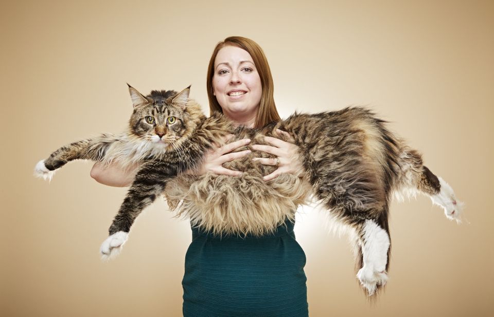  Owner Kelsey believes her award-winning catis like any other, "relaxed" and "laid back"