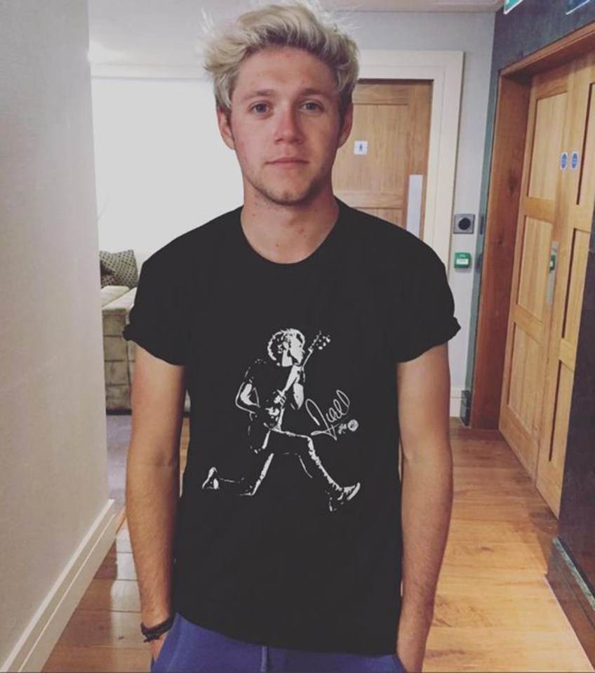  Niall Horan is an Irish charmer with millions of fans of his music