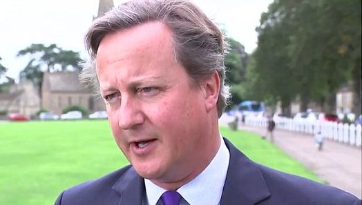  David Cameron's strategic hissy fit will now cause an unnecessary by-election