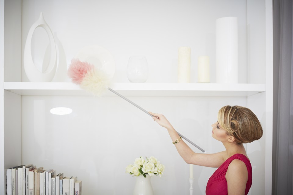 Professional cleaners have shared their secrets 